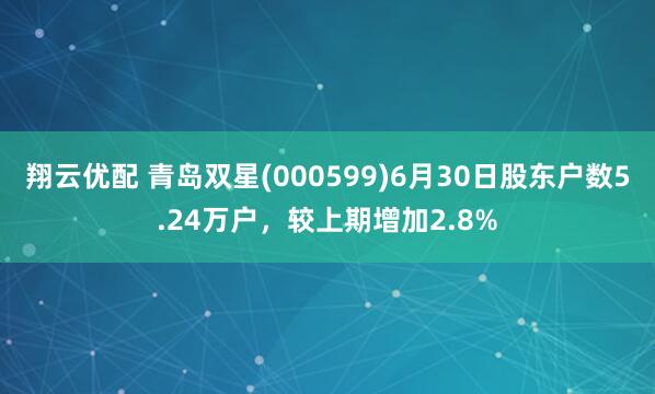 翔云优配 青岛双星(000599)6月30日股东户数5.24万户，较上期增加2.8%