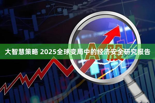 大智慧策略 2025全球变局中的经济安全研究报告